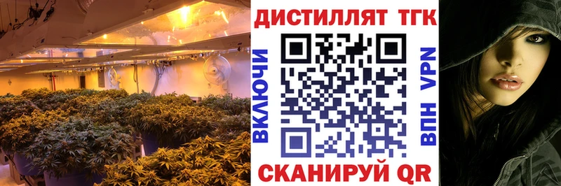 сколько стоит  Печоры  Дистиллят ТГК Wax 