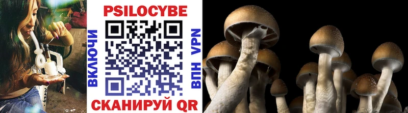 купить наркотик  Печоры  Галлюциногенные грибы Psilocybe 