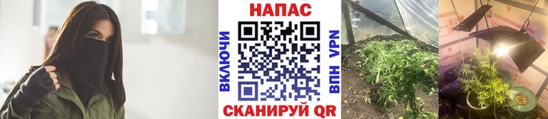 Каннабис индика  магазин продажи наркотиков  Печоры 